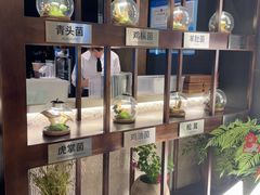 -芸山季·云南山珍菌火锅(人民广场来福士店)