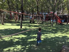-北京梧桐树双语幼儿园