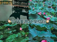 -莫愁湖公园