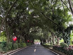 -大屏嶂森林公园