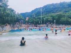 -重庆海昌加勒比海水世界