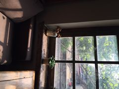 1901&nbsp;Cafe-1901 Cafe(西四店)