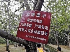 -开元溶洞
