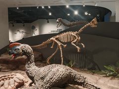 -自贡恐龙博物馆