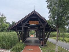 -永定河休闲森林公园