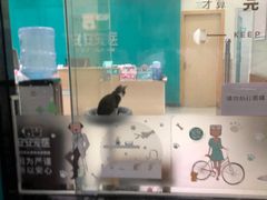 -安安宠医·普外科·内科·心超(佛山同济分院)