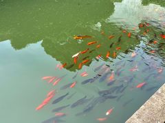 -宁波市保国寺古建筑博物馆