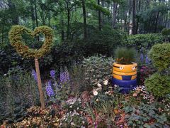 -上海共青森林公园