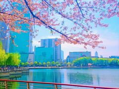 -西北湖绿化广场