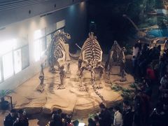 -自贡恐龙博物馆