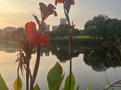 -深圳龙潭公园