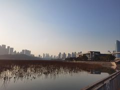 -月湖风景区