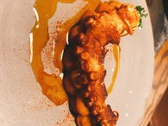 香烤八爪鱼腿-Apollo·西班牙小酒馆(安福路店)