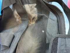 -博特宠物医院24h犬猫全科.骨科·异宠