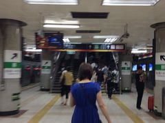 -大望路(地铁站)