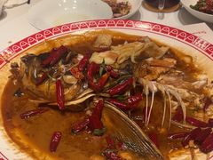 -Dr.Feeling 菲林酒吧(天津店)