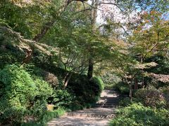 -杭州半山国家森林公园