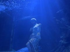 -太平洋海底世界