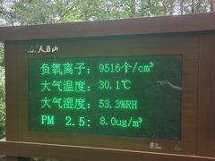 -天目山大树王景区