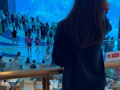 -三亚亚特兰蒂斯度假区