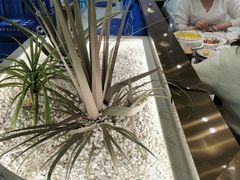 -兰湘子·湘菜小炒(崂山丽达店)