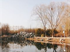 -东升八家郊野公园