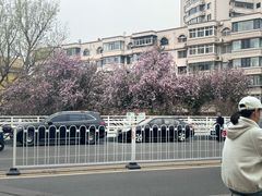 -小胖老味刨冰