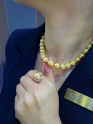-GiO挚澳珠宝(侨福芳草地店)