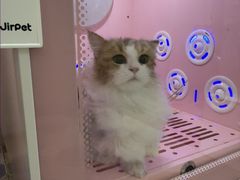 -乐琪宠物医院·犬猫专科·骨外科·急重症