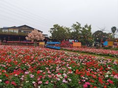 -盈香心动乐园