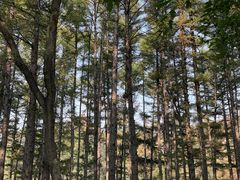 景点-长春市南湖公园