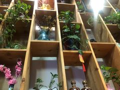 -小草大排档(北沙坡店)