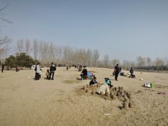 -东郊湿地公园