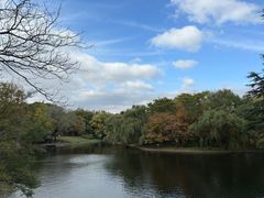 -上海共青森林公园