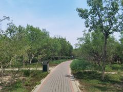 -大港湿地公园