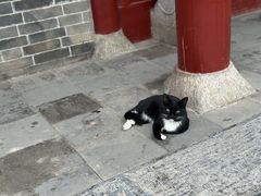 -天宁寺
