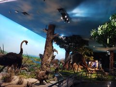 -国家自然博物馆