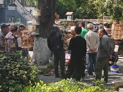 -东水关遗址公园