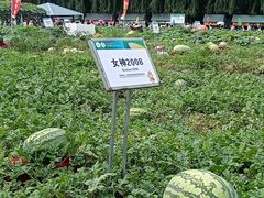 -长春农业博览园