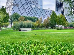 -中央广播电视总台(光华路办公区)