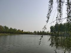 -东郊湿地公园
