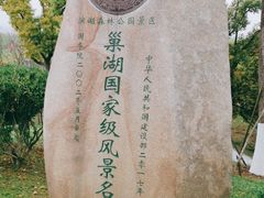 -合肥滨湖国家森林公园