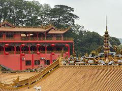 -东莞市大岭山森林公园