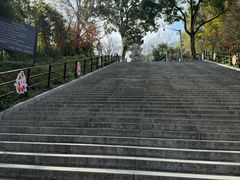 -上海佘山国家森林公园西佘山园