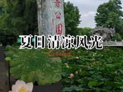 -龙头寺公园