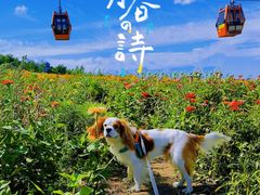 -太舞滑雪小镇