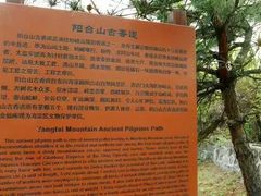 -阳台山自然风景区