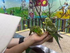 -齐齐哈尔龙沙动植物园