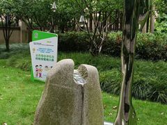 -陈家山荷花公园