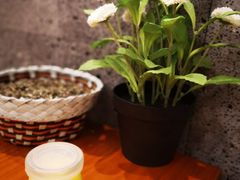 -嘉慧女子水汇